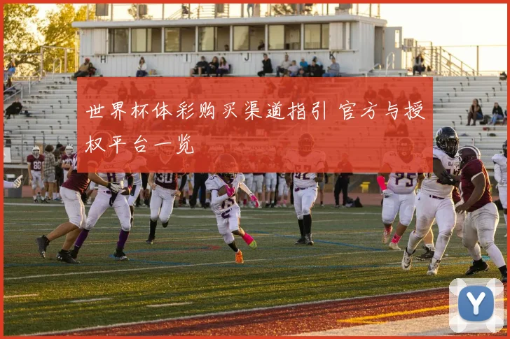 世界杯体彩购买渠道指引 官方与授权平台一览