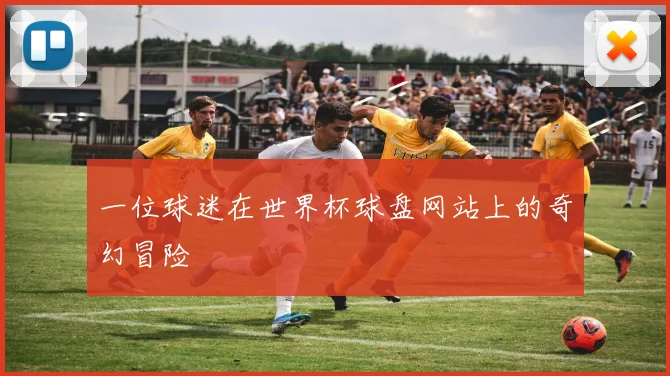 一位球迷在世界杯球盘网站上的奇幻冒险