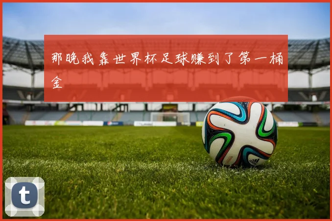 那晚我靠世界杯足球赚到了第一桶金
