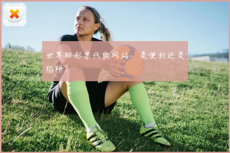 世界杯彩票代购网站,是便利还是陷阱?