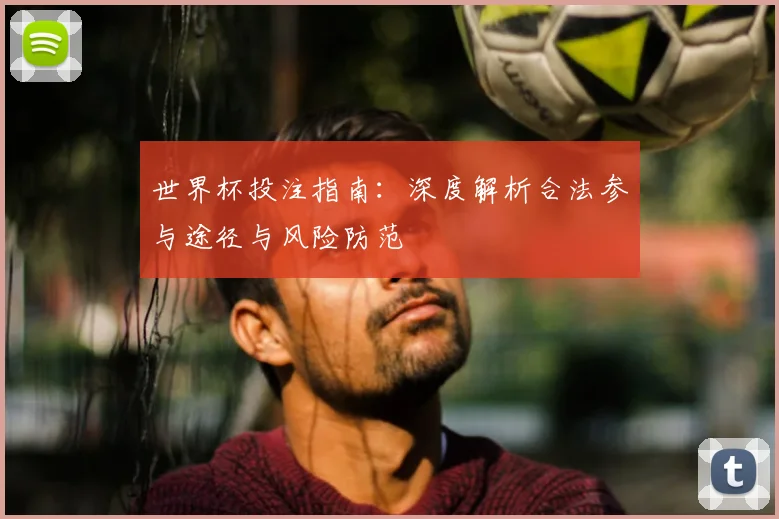 世界杯投注指南：深度解析合法参与途径与风险防范